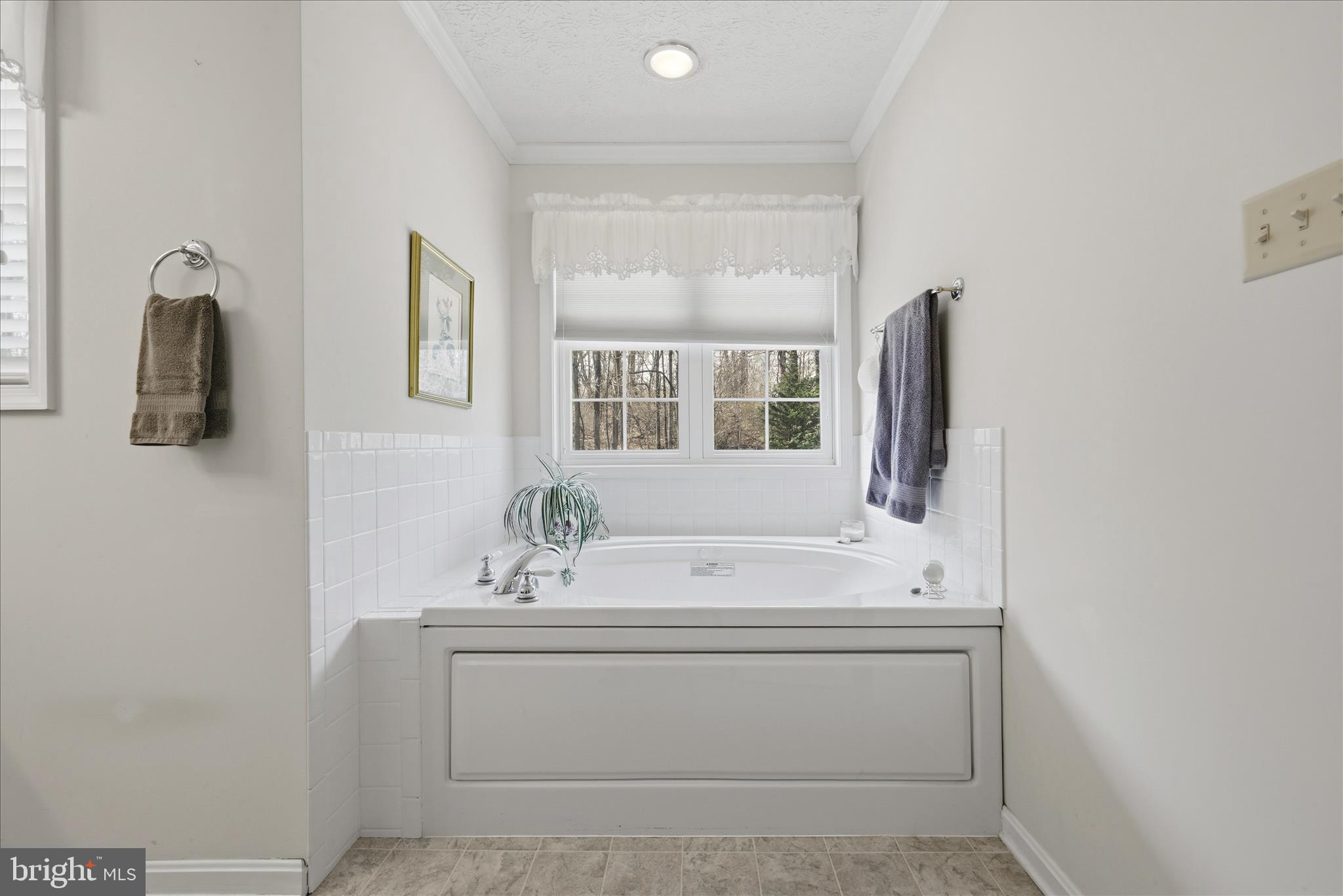155 Bunchberry Ridge Court Stephens City, VA 22655 - Photo 44 of 71 Primary Bathroom