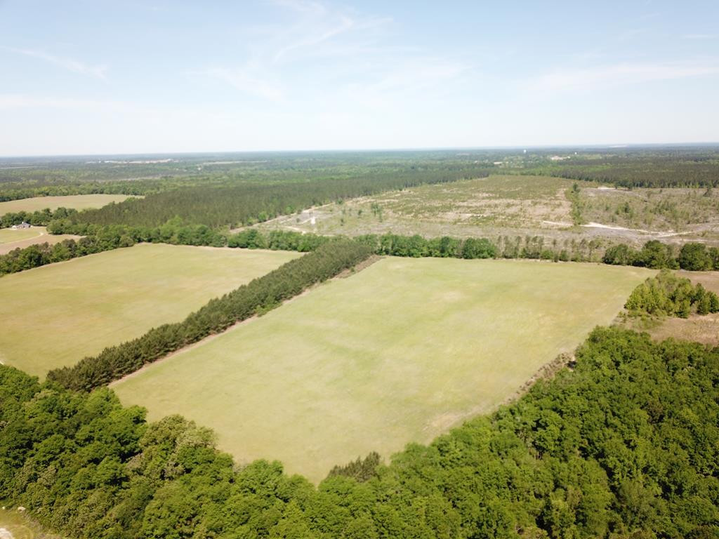 Tbd Tbd Dixie Road South Wagener, SC 29164 - Photo 1 of 25