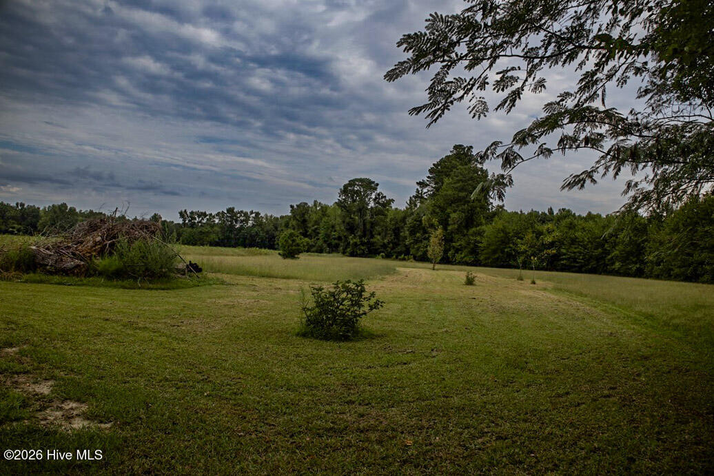 799 Cain Road St. Pauls, NC 28384 - Photo 29 of 32 Gallery Image 29
