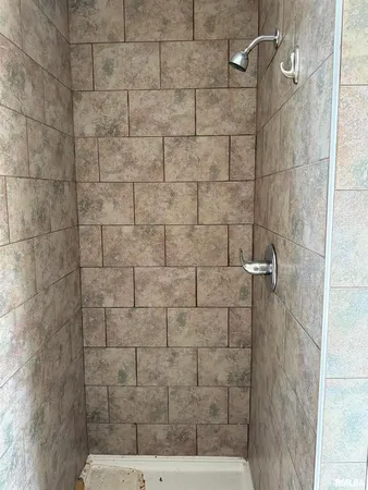 a view of a forest filled with trees