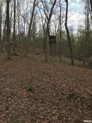 a backyard of a house