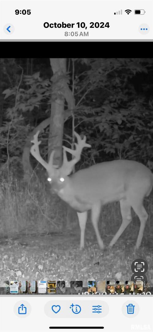 5435 Hickory Ridge Road Pomona, IL 62975 - Photo 46 of 67