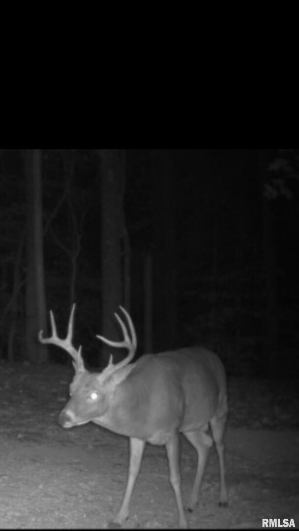 5435 Hickory Ridge Road Pomona, IL 62975 - Photo 47 of 67