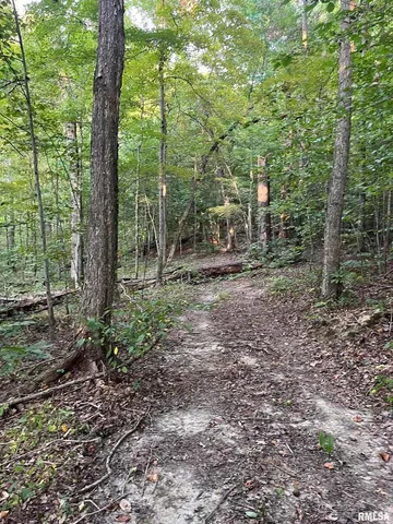 a view of a lake with large trees