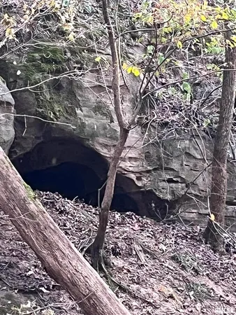 $290,000 | 5435 Hickory Ridge Road, Pomona, IL 62975