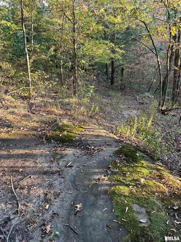 $290,000 | 5435 Hickory Ridge Road, Pomona, IL 62975