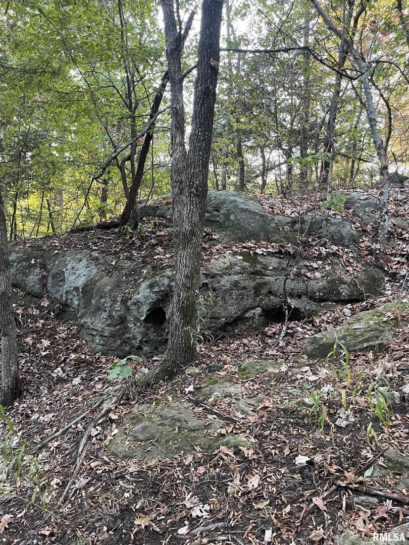 5435 Hickory Ridge Road Pomona, IL 62975 - Photo 53 of 67