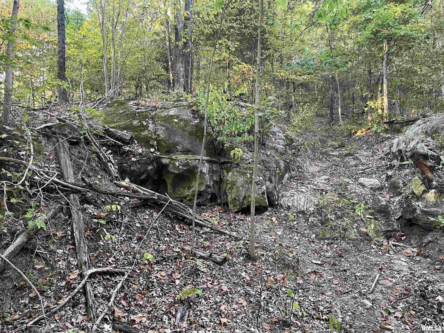 5435 Hickory Ridge Road Pomona, IL 62975 - Photo 54 of 67