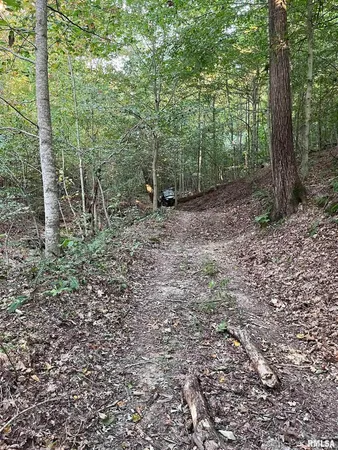 $290,000 | 5435 Hickory Ridge Road, Pomona, IL 62975