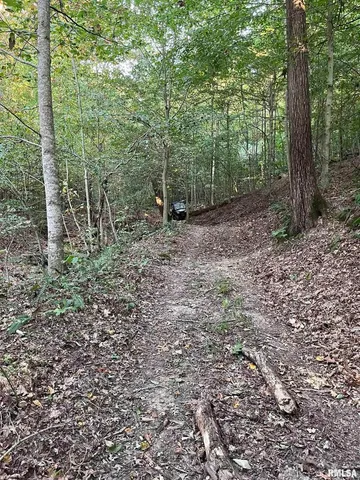 $290,000 | 5435 Hickory Ridge Road, Pomona, IL 62975