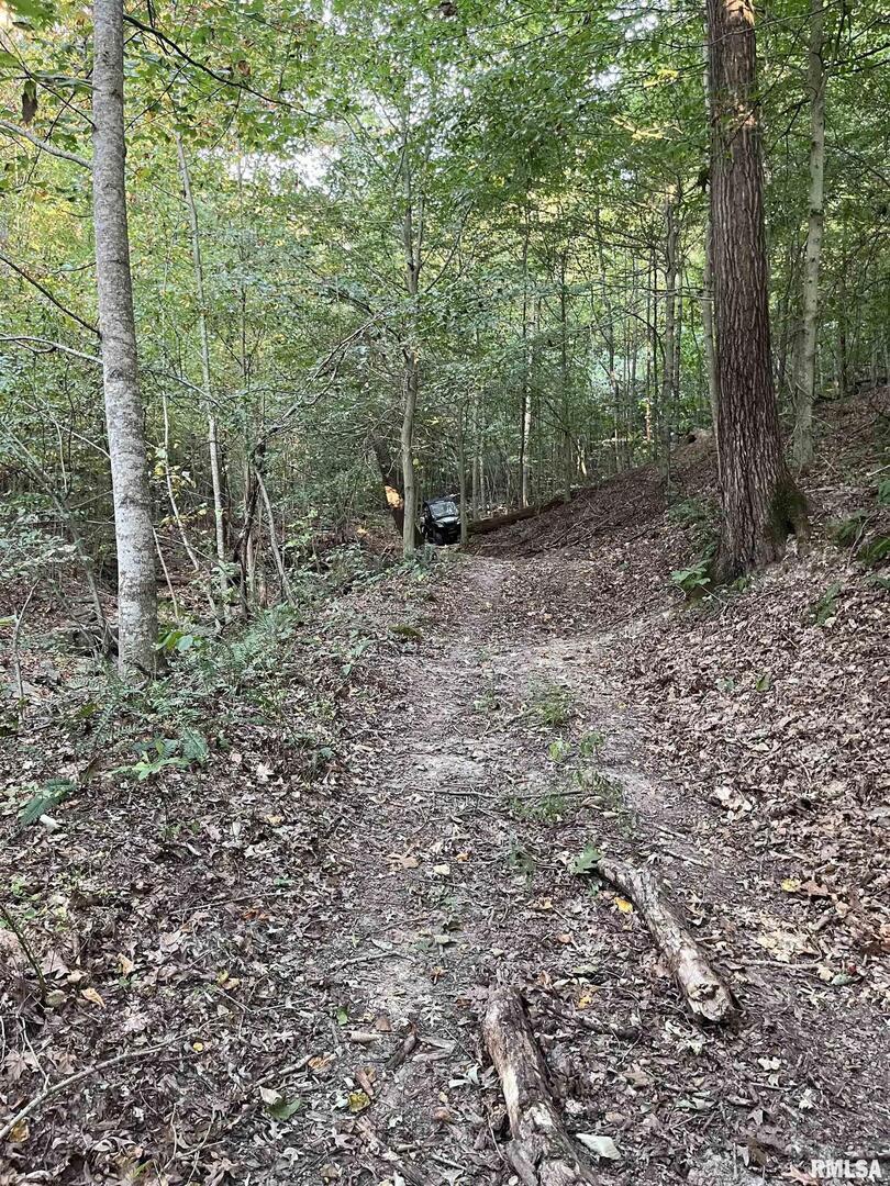 5435 Hickory Ridge Road Pomona, IL 62975 - Photo 61 of 67