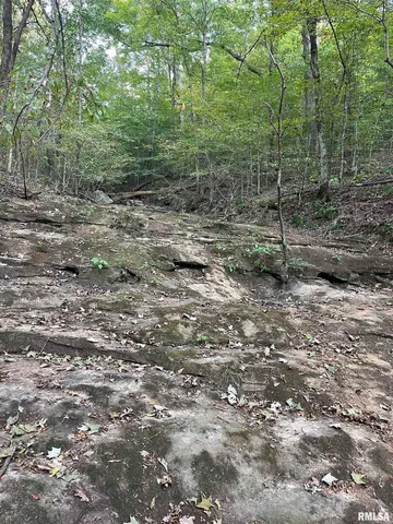 $290,000 | 5435 Hickory Ridge Road, Pomona, IL 62975