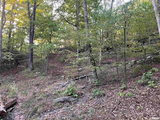 $290,000 | 5435 Hickory Ridge Road, Pomona, IL 62975