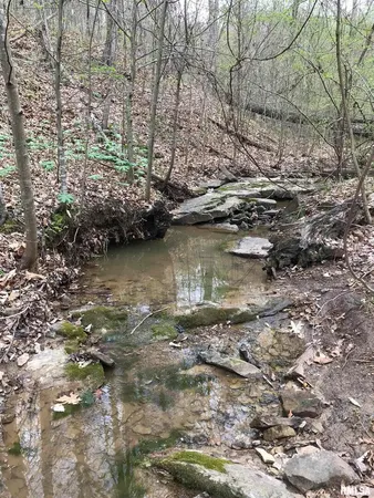 $290,000 | 5435 Hickory Ridge Road, Pomona, IL 62975