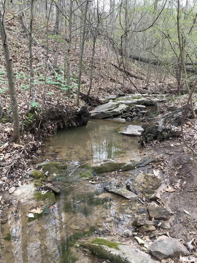 5435 Hickory Ridge Road Pomona, IL 62975 - Photo 65 of 67