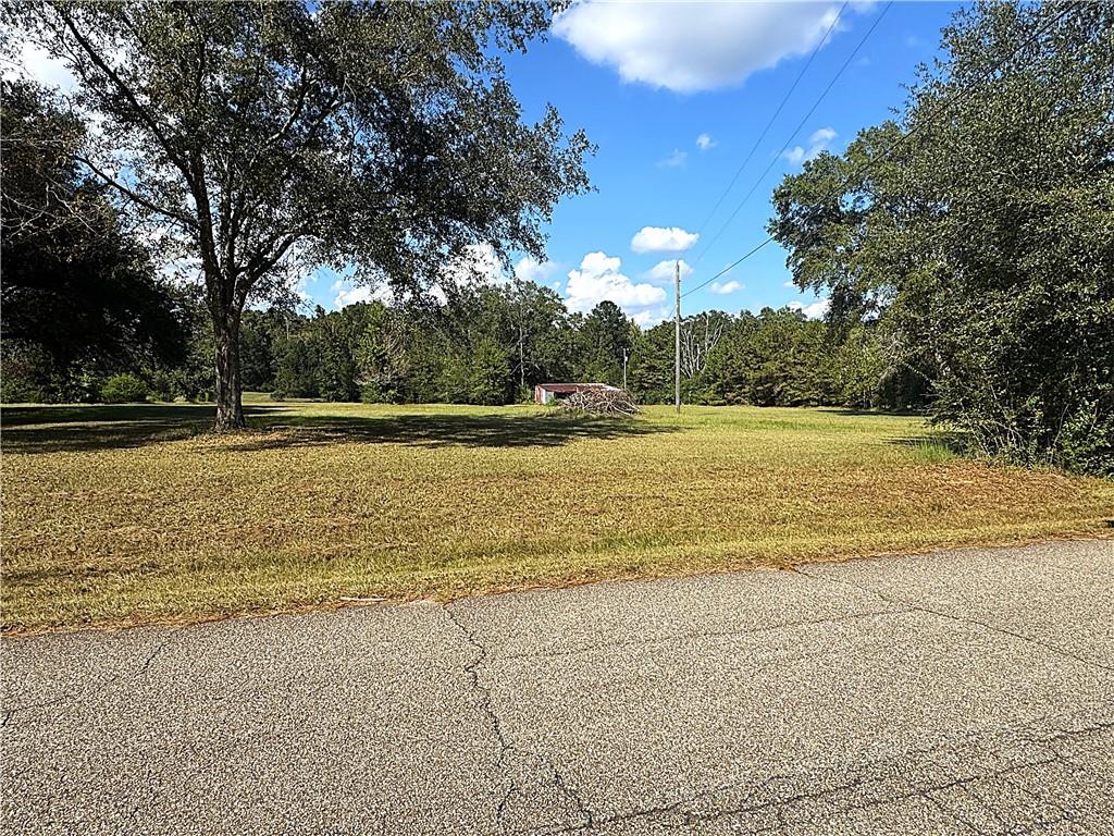 288 Stonehill Road Folsom, LA 70437 - Photo 2 of 5