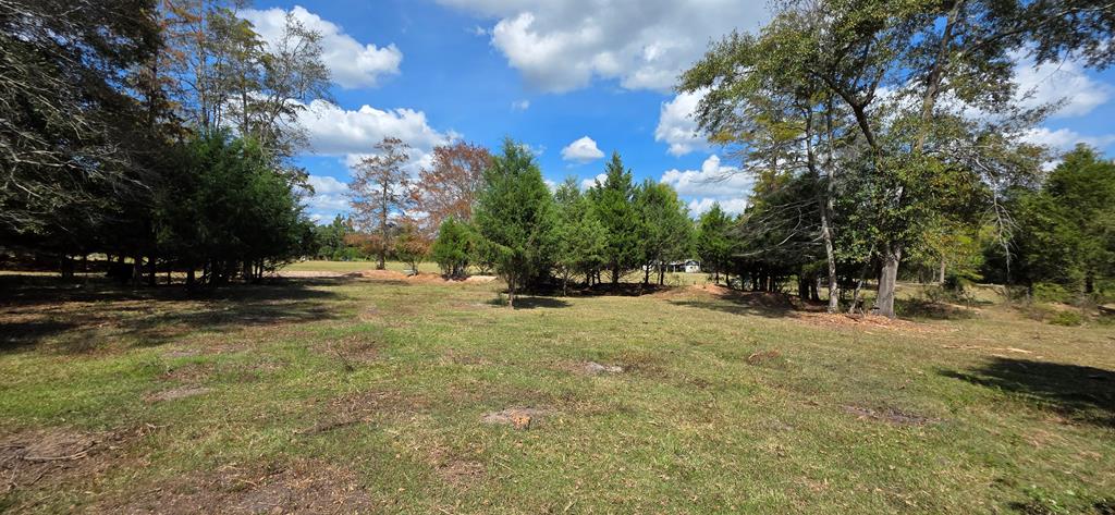 12.7-acres Nobles Road Dothan, AL 36301 - Photo 24 of 41