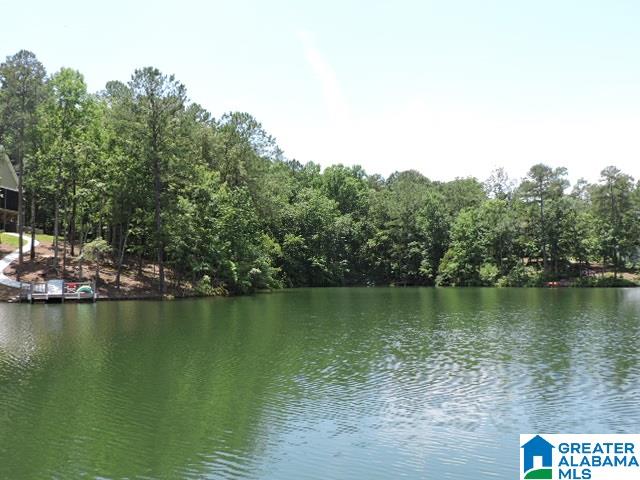 897 County Road, Unit 21 Wedowee, AL 36278 - Photo 1 of 6