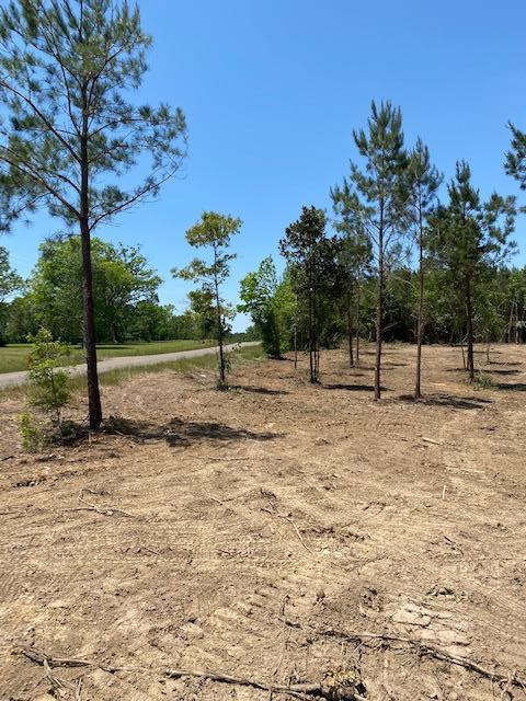 N/a Fenn Road Smithdale, MS 39664 - Photo 1 of 5 Main View