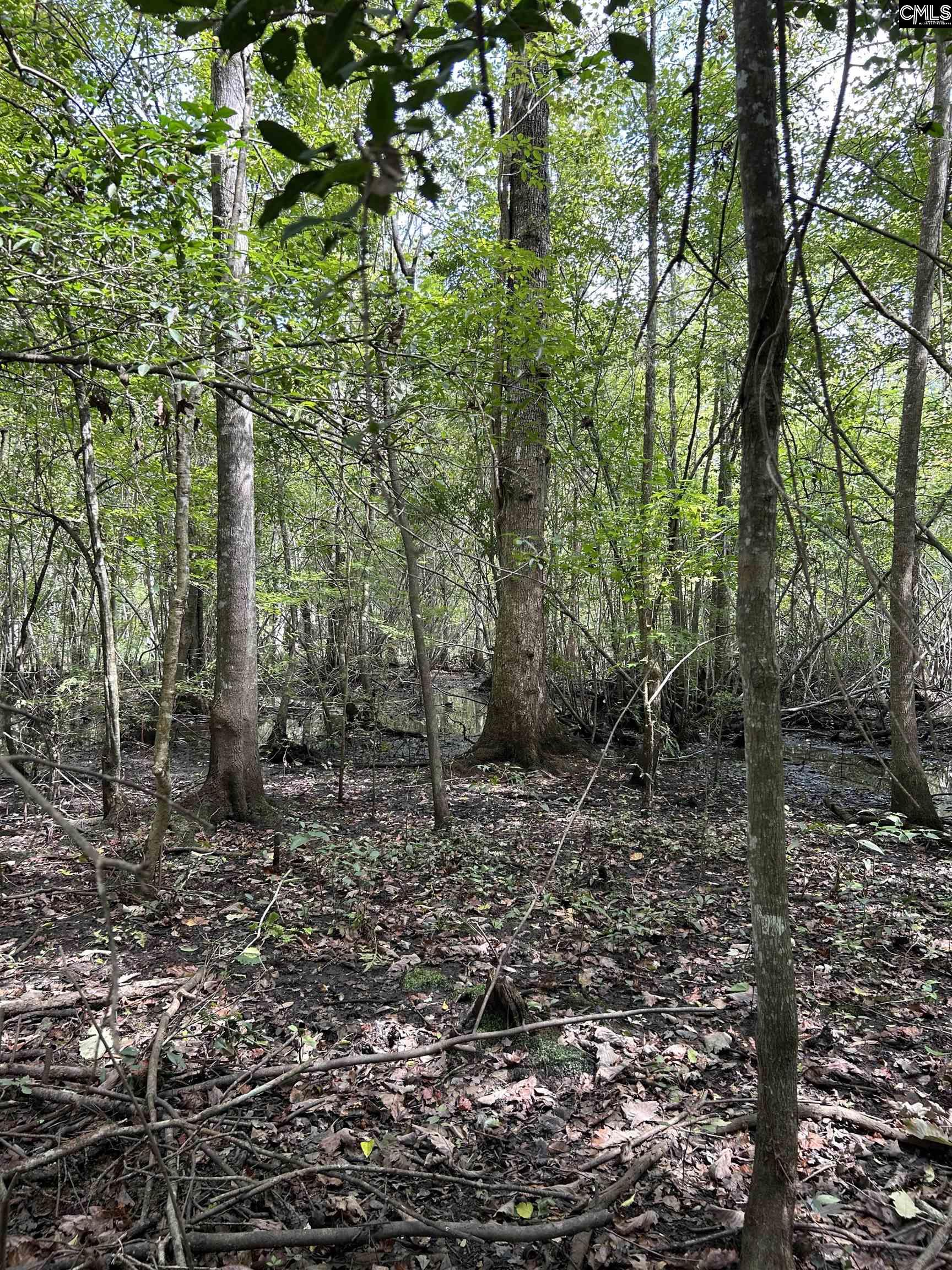 8200 Salem Road New Zion, SC 29111 - Photo 11 of 17