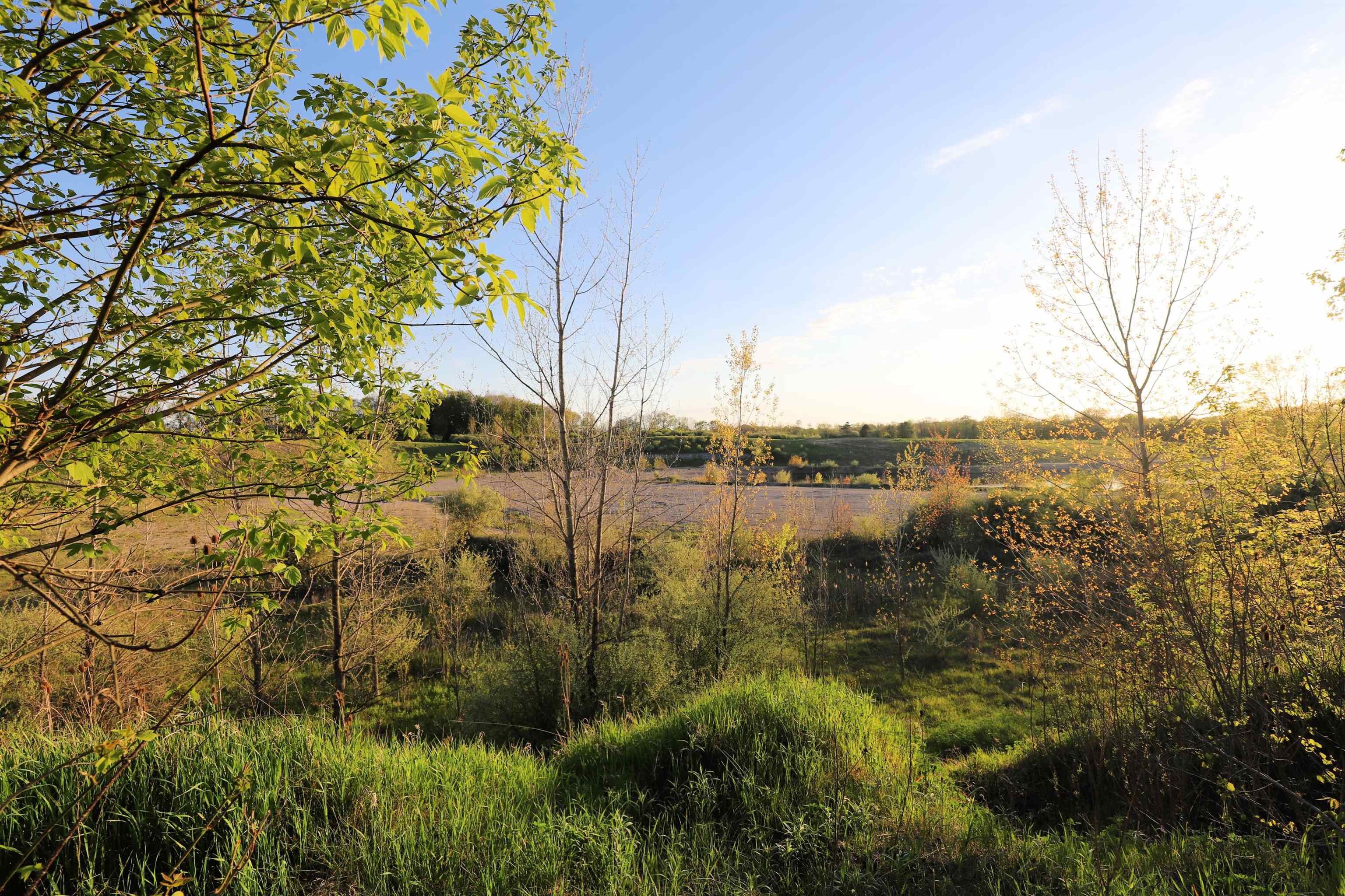 10241 North McKinley Road Montrose, MI 48457 - Photo 24 of 38
