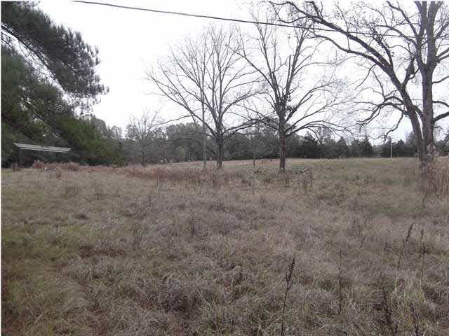 1260 Tom Collins Road Utica, MS 39175 - Photo 2 of 5 Photo 2