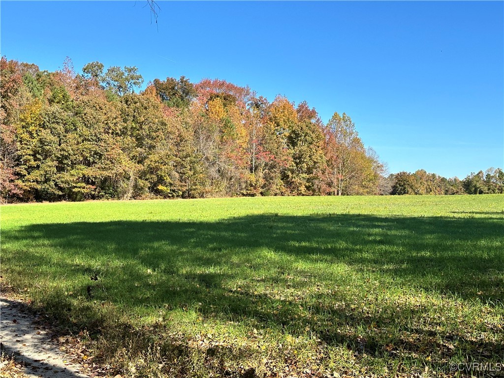 0 Smithfield Road Charlottesville, VA 22901 - Photo 6 of 17