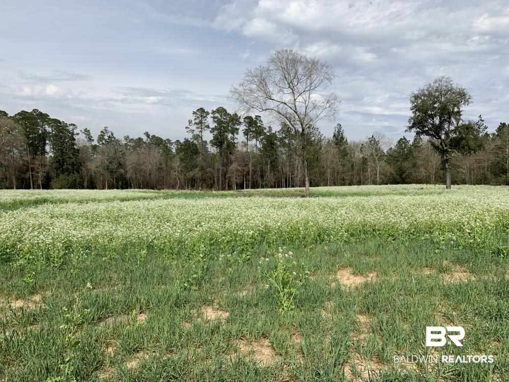 17525 Joe Gottler Road Elberta, AL 36530 - Photo 35 of 44