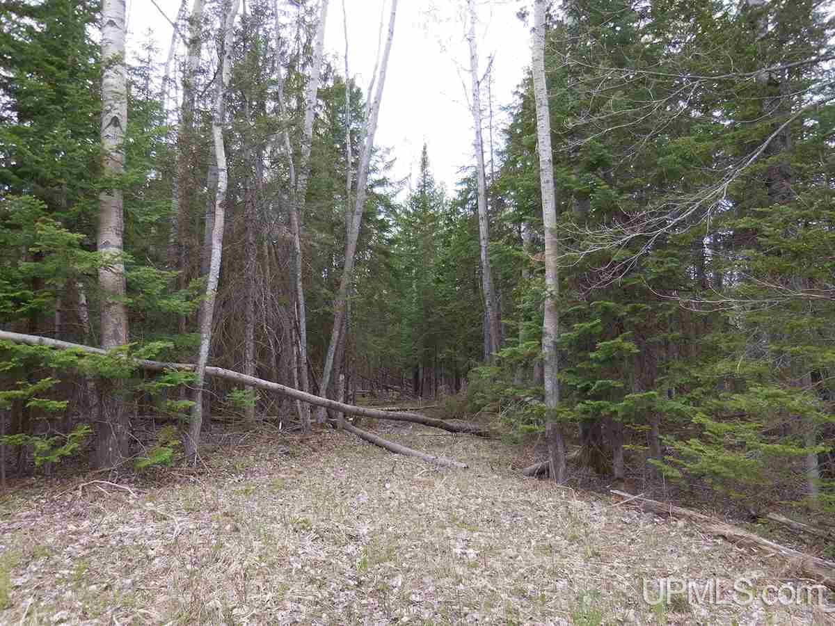 Tbd Kk Road Rapid River, MI 49864 - Photo 2 of 13