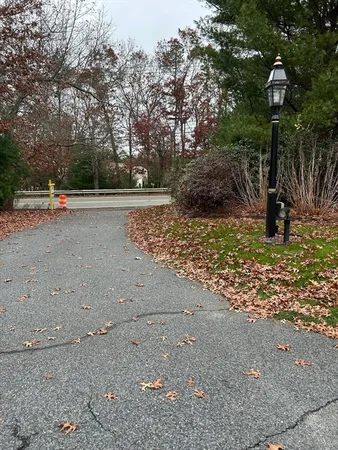 a view of a yard with plants and trees