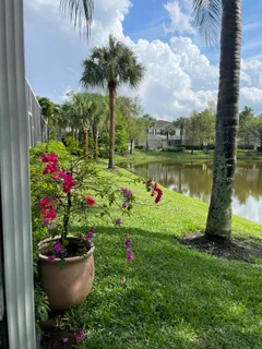 a view of a garden with a lake