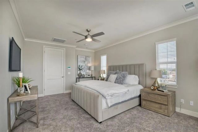 a bedroom with a bed a chandelier and a couch