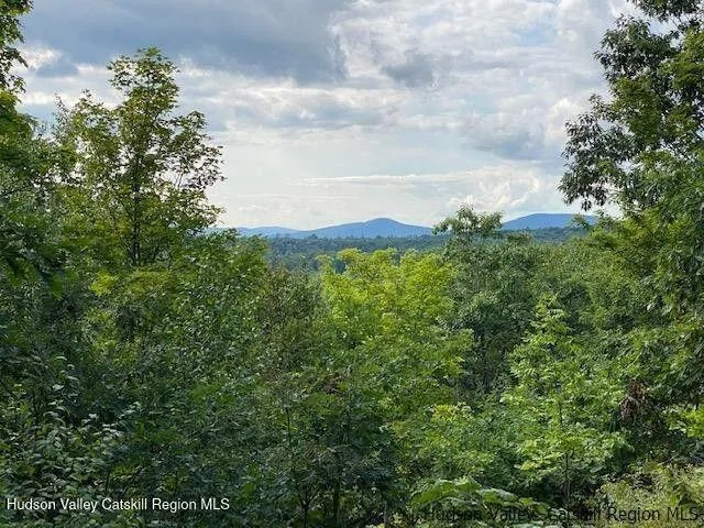 a view of a field of grass and trees