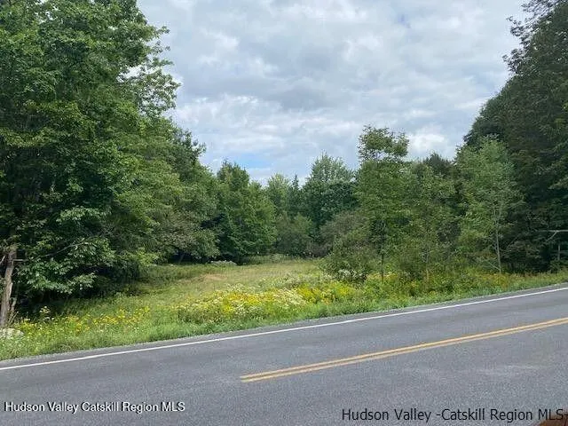 a view of a yard with a fountain