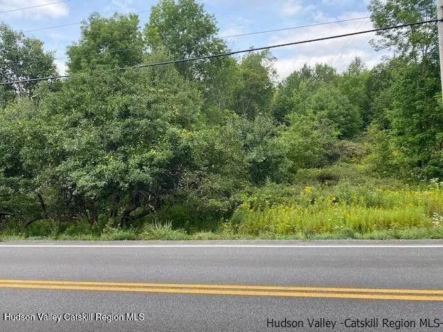 a view of a yard from a window