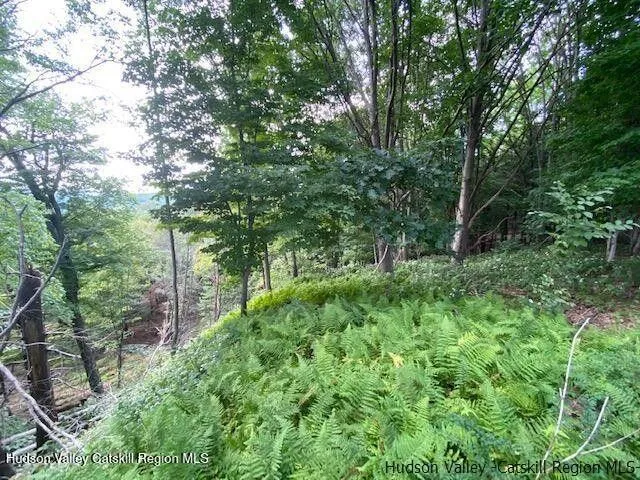 a green field with lots of trees