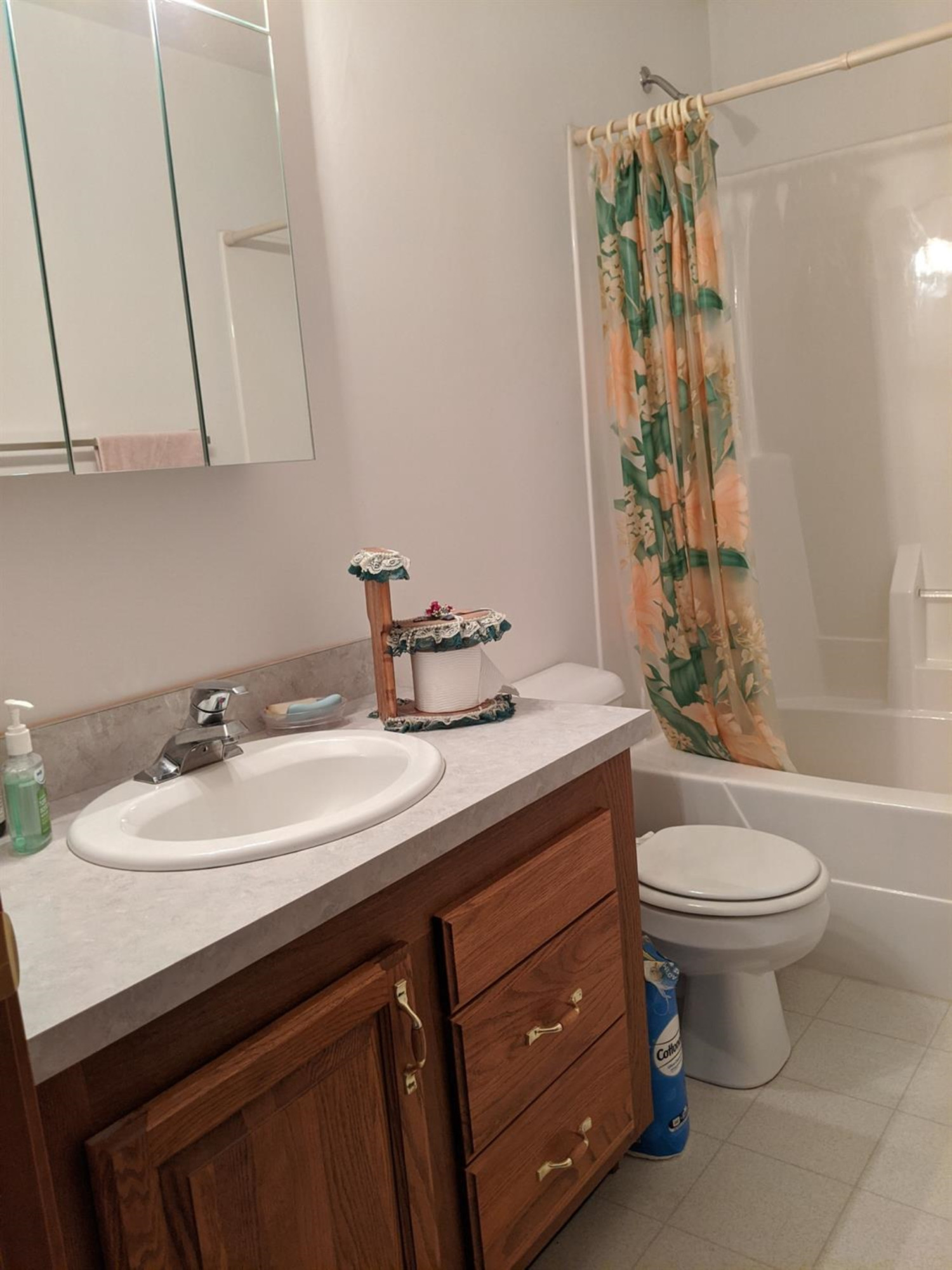 21396 Waterloo Road Chelsea, MI 48118 - Photo 13 of 23 Photo 13