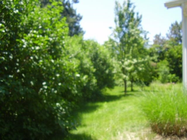 21396 Waterloo Road Chelsea, MI 48118 - Photo 20 of 23 Photo 20