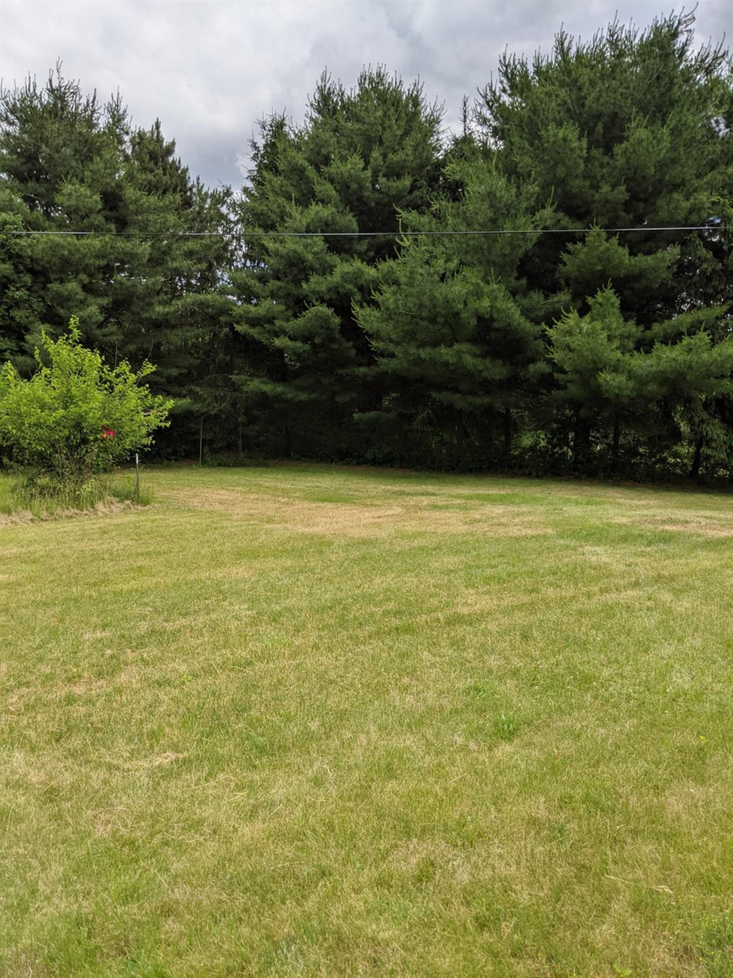 21396 Waterloo Road Chelsea, MI 48118 - Photo 21 of 23 Photo 21