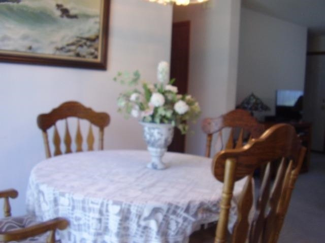 21396 Waterloo Road Chelsea, MI 48118 - Photo 8 of 23 Photo 8