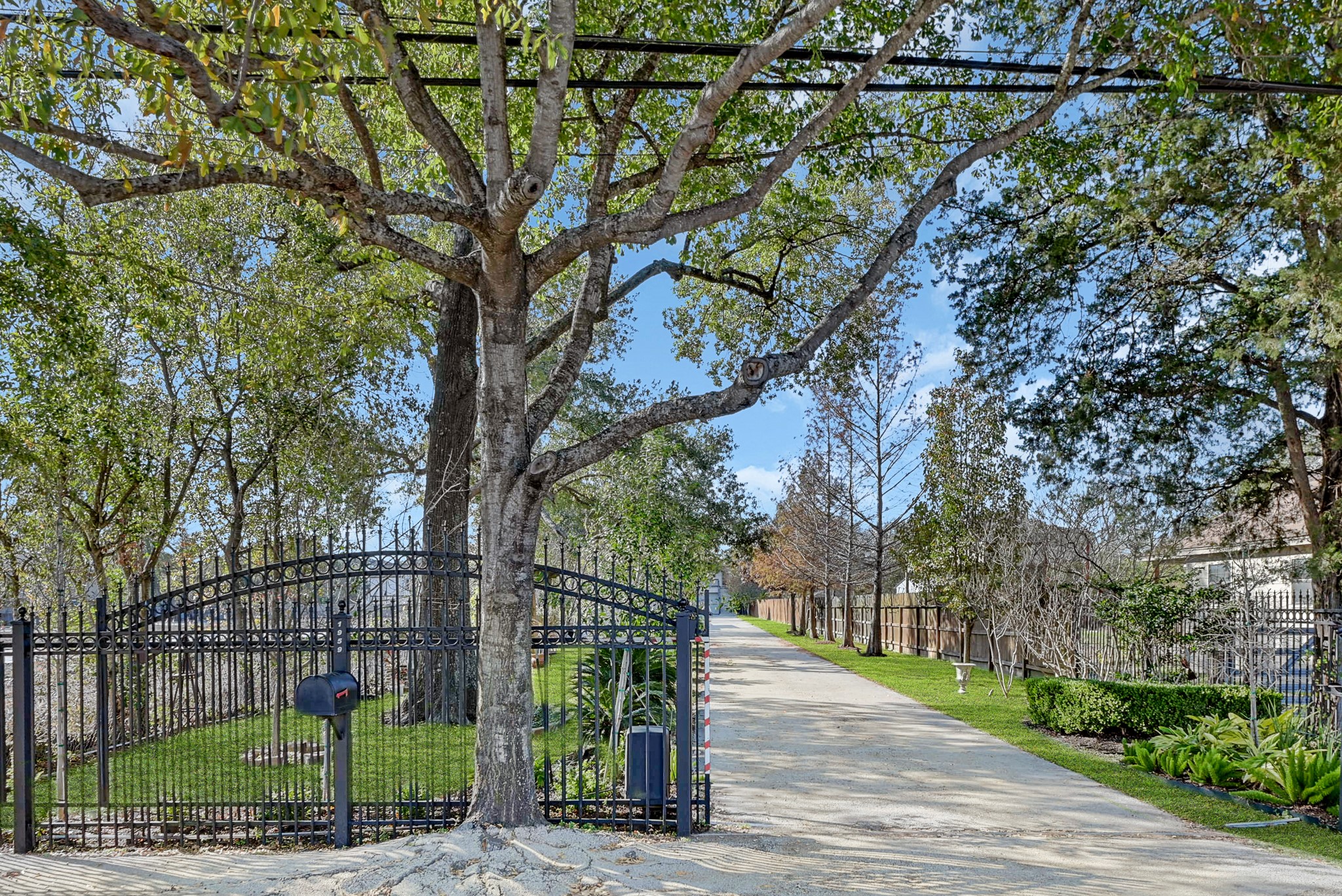 Centrally located half acre lot in Spring Branch offers a serene setting.