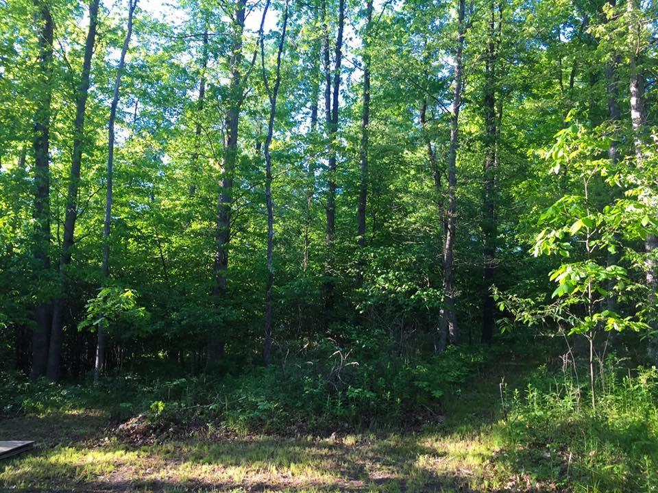 180 Ankney Road Avonmore, PA 15618 - Photo 14 of 23