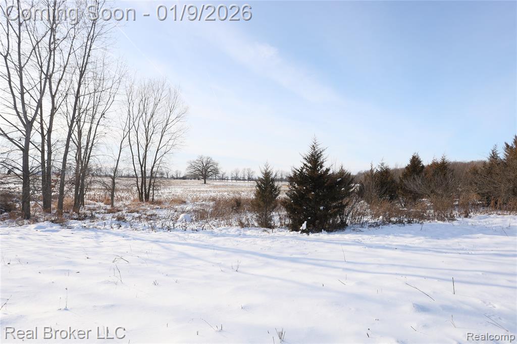 6640 Lemon Road Bancroft, MI 48414 - Photo 38 of 39