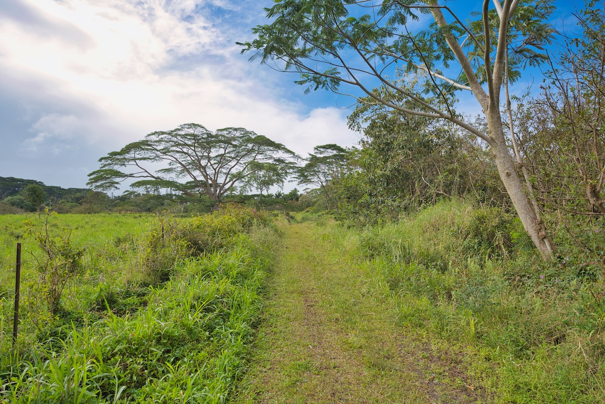 15-230 Lot 3-1 North Road Pahoa, HI 96778 - Photo 11 of 20 a view of lake with green space