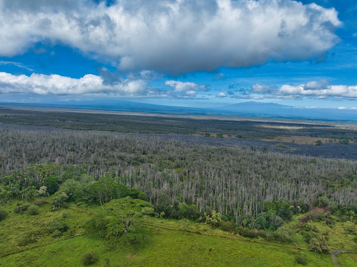 15-230 Lot 3-1 North Road Pahoa, HI 96778 - Photo 18 of 20 a view of a yard next to a yard