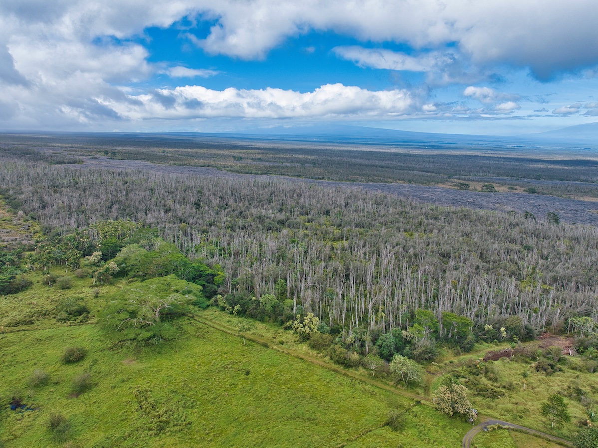 15-230 Lot 3-1 North Road Pahoa, HI 96778 - Photo 19 of 20 a view of a yard with an trees