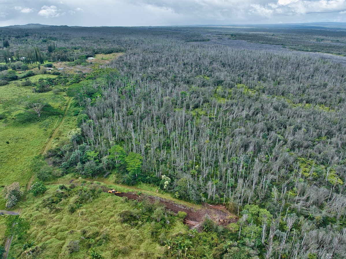 15-230 Lot 3-1 North Road Pahoa, HI 96778 - Photo 2 of 20 a view of a field of grass and trees