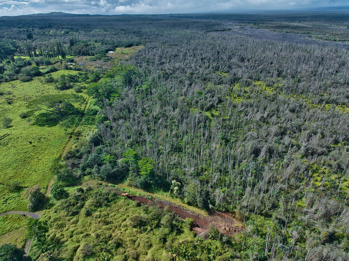 15-230 Lot 3-1 North Road Pahoa, HI 96778 - Photo 3 of 20 a view of a large yard with lots of green space