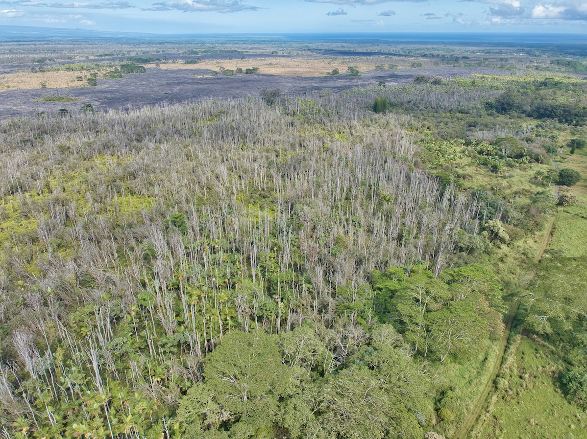 15-230 Lot 3-1 North Road Pahoa, HI 96778 - Photo 7 of 20 a view of a yard with an outdoor space