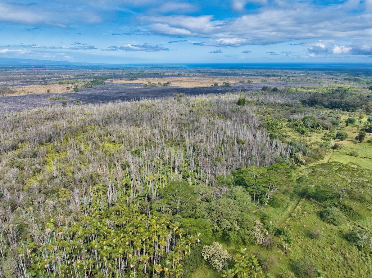 15-230 Lot 3-1 North Road Pahoa, HI 96778 - Photo 8 of 20 a view of a yard with an ocean view